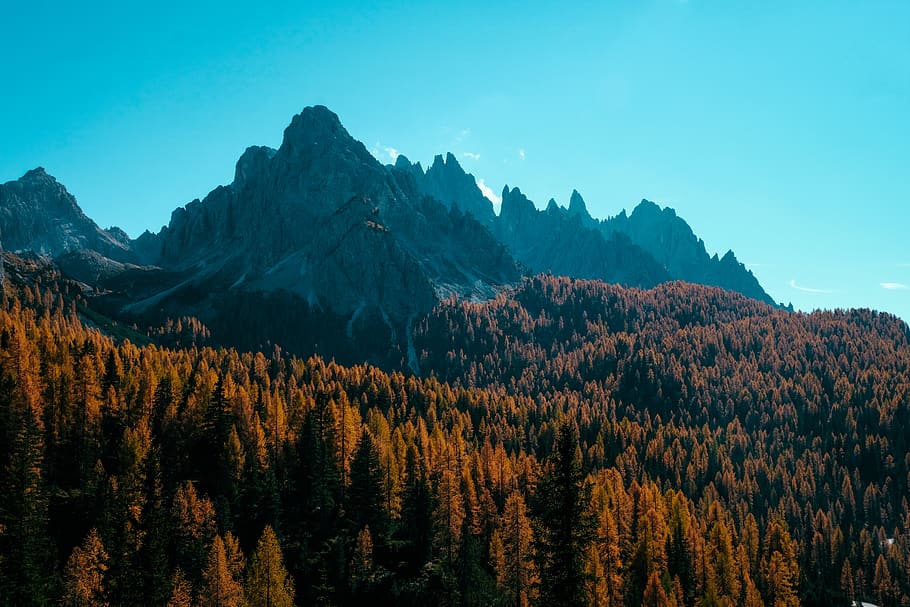Mountain Under Blue Sky, daylight, environment, forest, high HD wallpaper