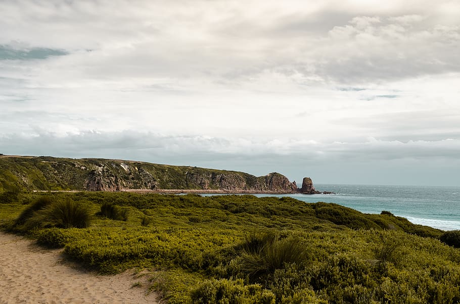 green grass field, outdoor, cape woolamai, australia, landscape HD wallpaper