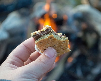 person holding cookie, food, united states, carolina landing rv resort HD wallpaper