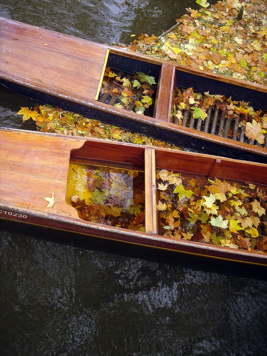cambridge, united kingdom, leaves, punts, boats, river, autumn, HD wallpaper