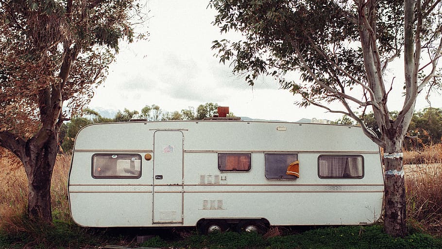 white camper trailer in between green trees, plant, nature, transportation HD wallpaper