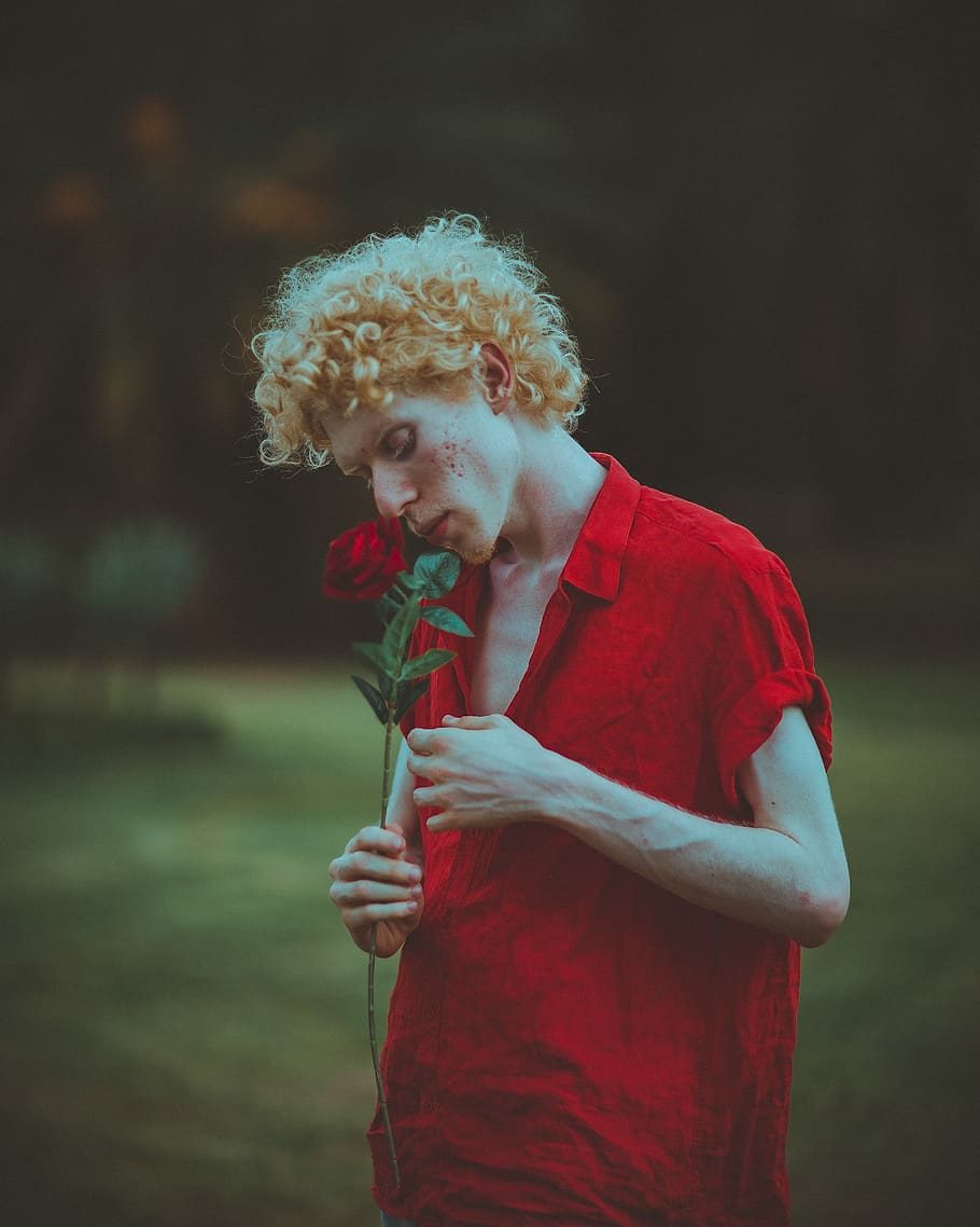 Man Smelling Red Rose, blonde, curly hair, delicate, fashion, HD wallpaper