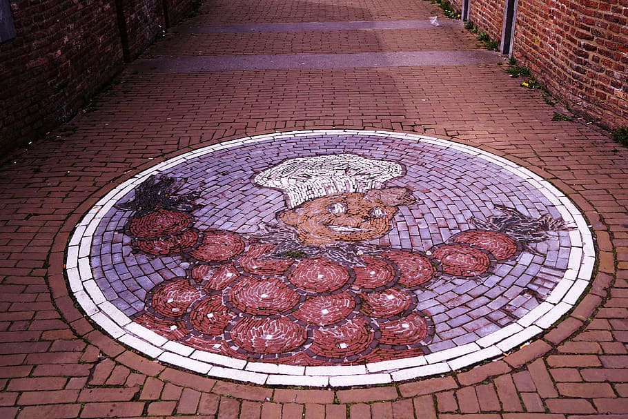 Chef Pavement Paint, brick, bricks, street, footpath, no people HD wallpaper