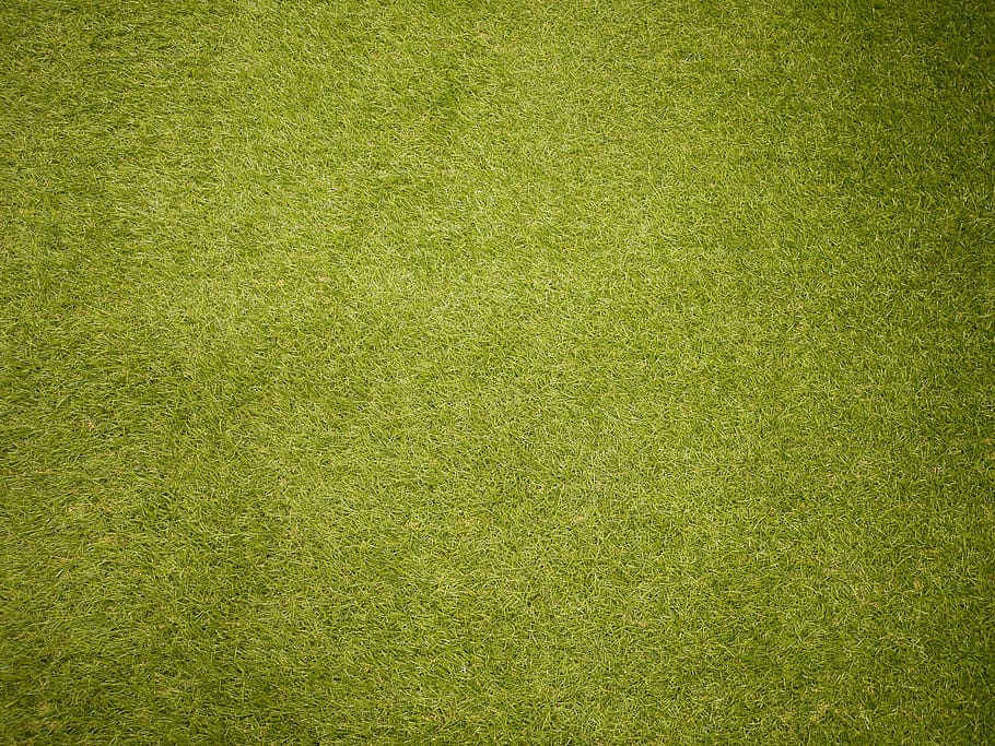 green textile, backgrounds, green color, textured, grass, full frame HD wallpaper