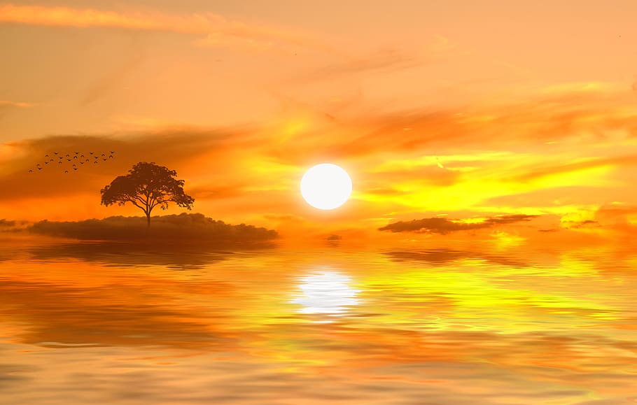 sunset, horizon, nature, sky, beauty in nature, scenics - nature HD wallpaper