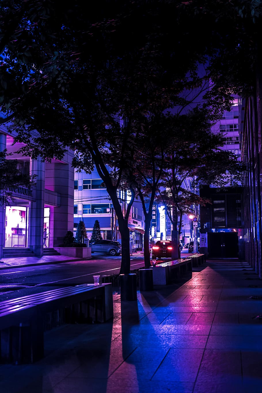HD wallpaper: night view, purple, alley, street, city, architecture,  illuminated | Wallpaper Flare