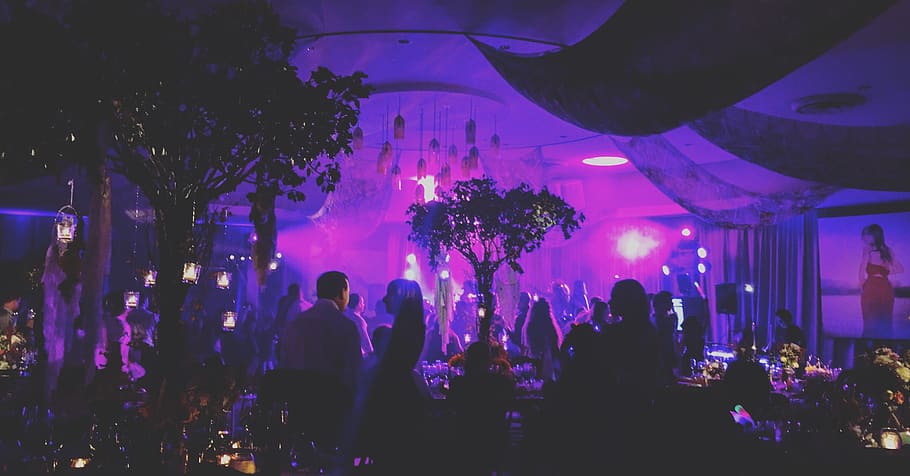 party, coachella, lights, trees, group of people, crowd, large group of people HD wallpaper