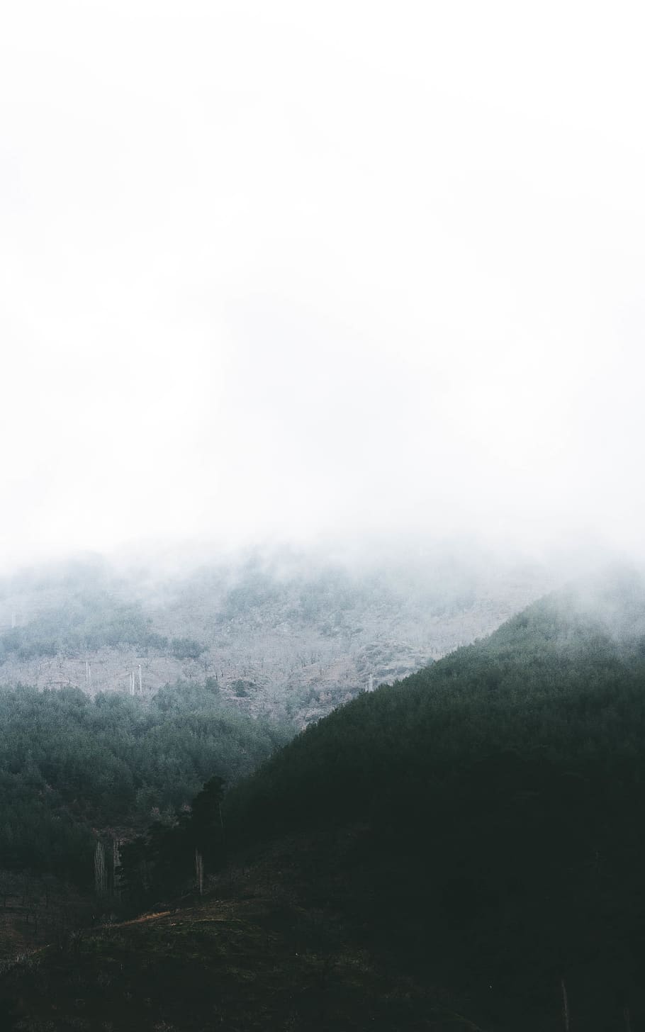 foggy mountain, nature, weather, outdoors, mist, grey, ridge HD wallpaper