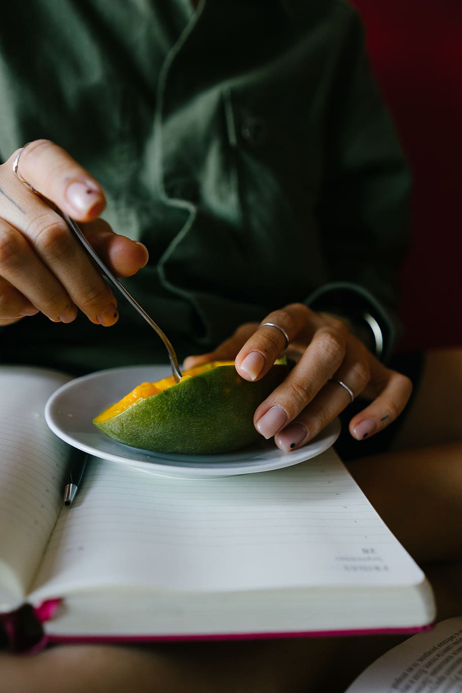 mango, hands, notebook, one person, holding, indoors, human hand HD wallpaper