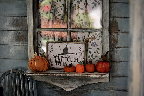 Halloween decor, plant, vegetable, food, pumpkin, fruit, apple HD wallpaper