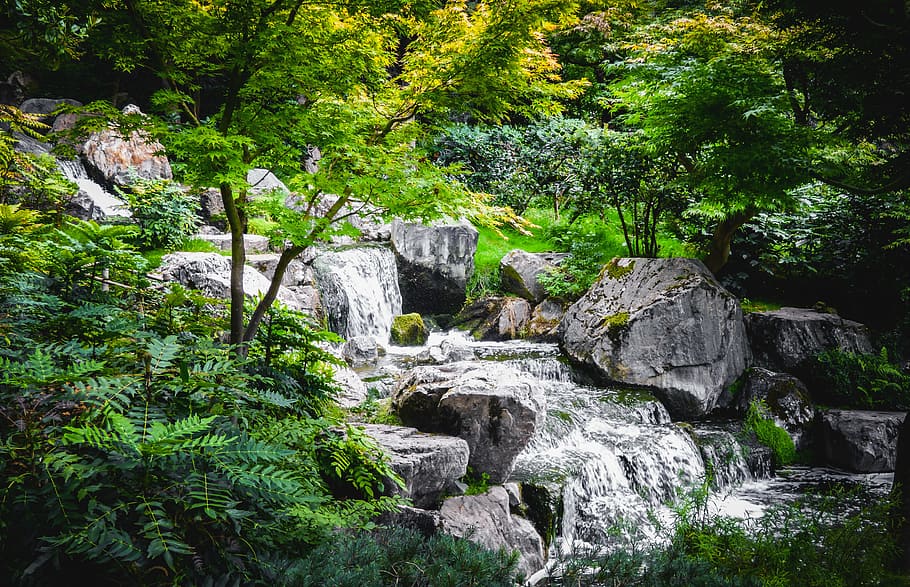 Flowing Water On The River, branches, cascade, daylight, environment HD wallpaper
