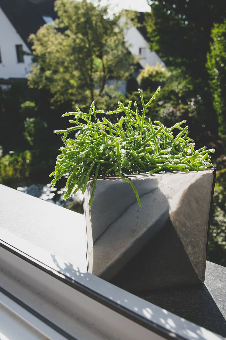 germany, window, window sill, nature, outdoors, green, leaves HD wallpaper