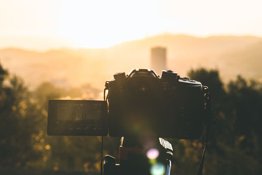 black DSLR camera facing trees, photo, photography, photographer HD wallpaper