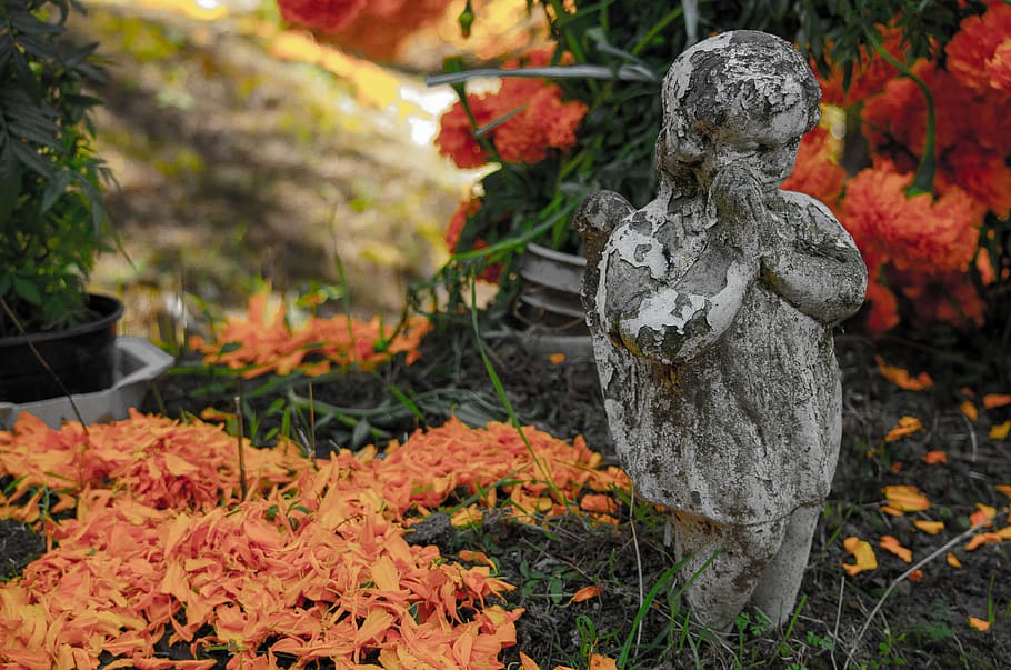 praying boy statue, leaf, plant, tree, méxico, cdmx, ciudad de méxico HD wallpaper