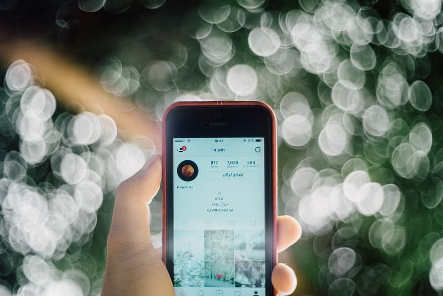 iphone, leaf, instagram, technology, smart phone, wireless technology HD wallpaper