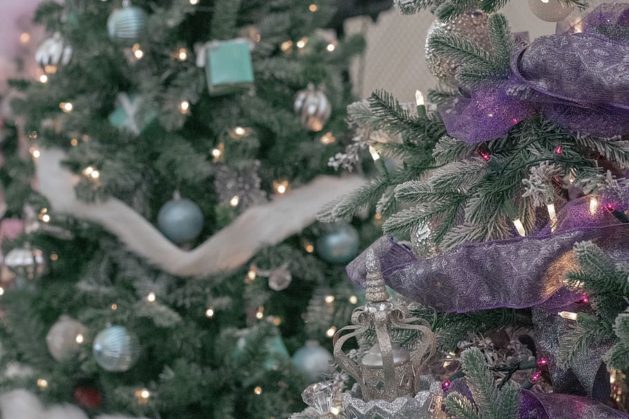 Christmas tree decor, plant, ornament, ann's place, united states HD wallpaper