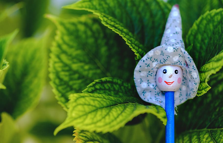 witch, pencil, hat, miniature, vegetation, halloween, doll HD wallpaper