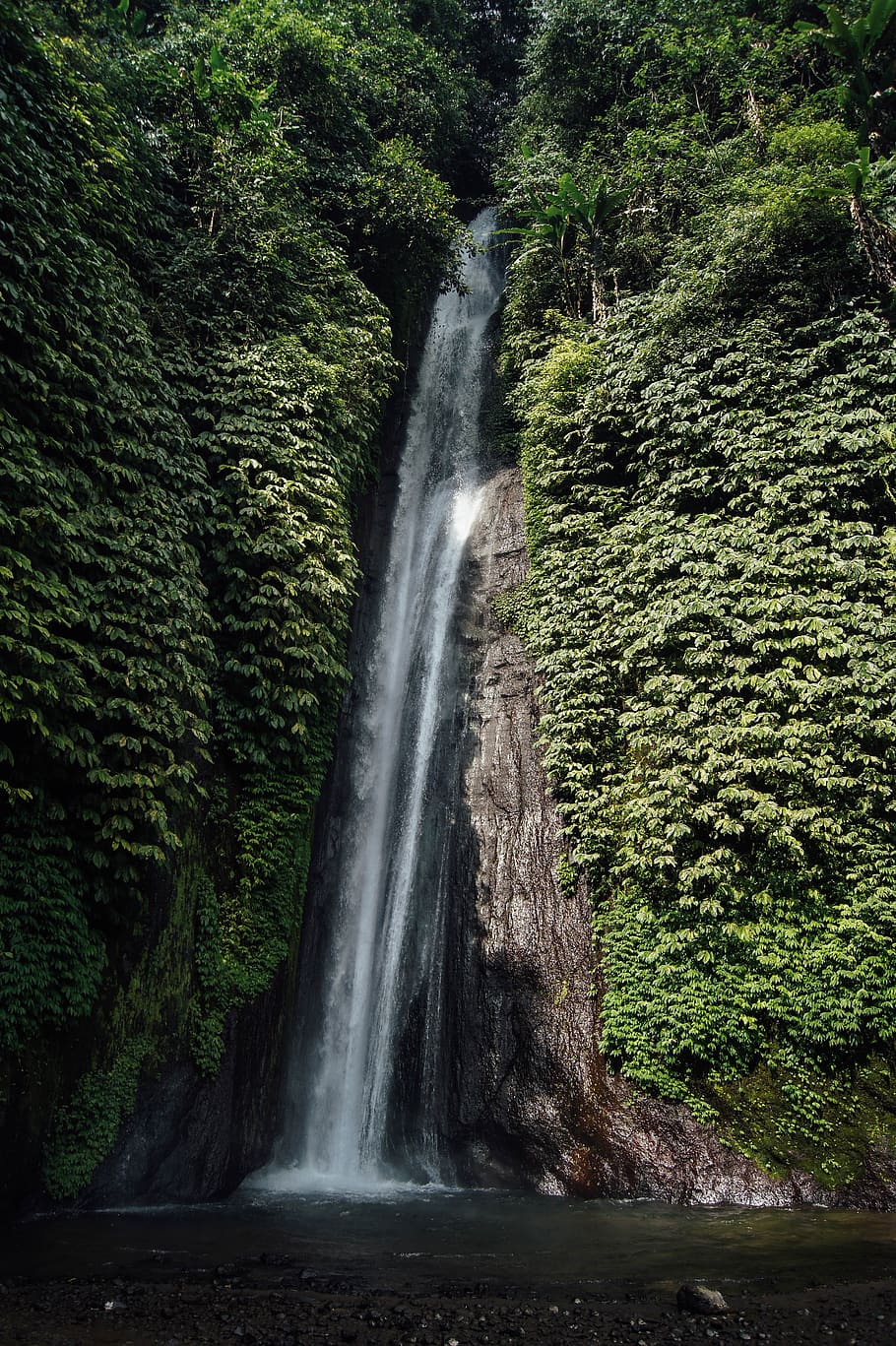 waterfalls through cliff, motion, tree, scenics - nature, plant HD wallpaper