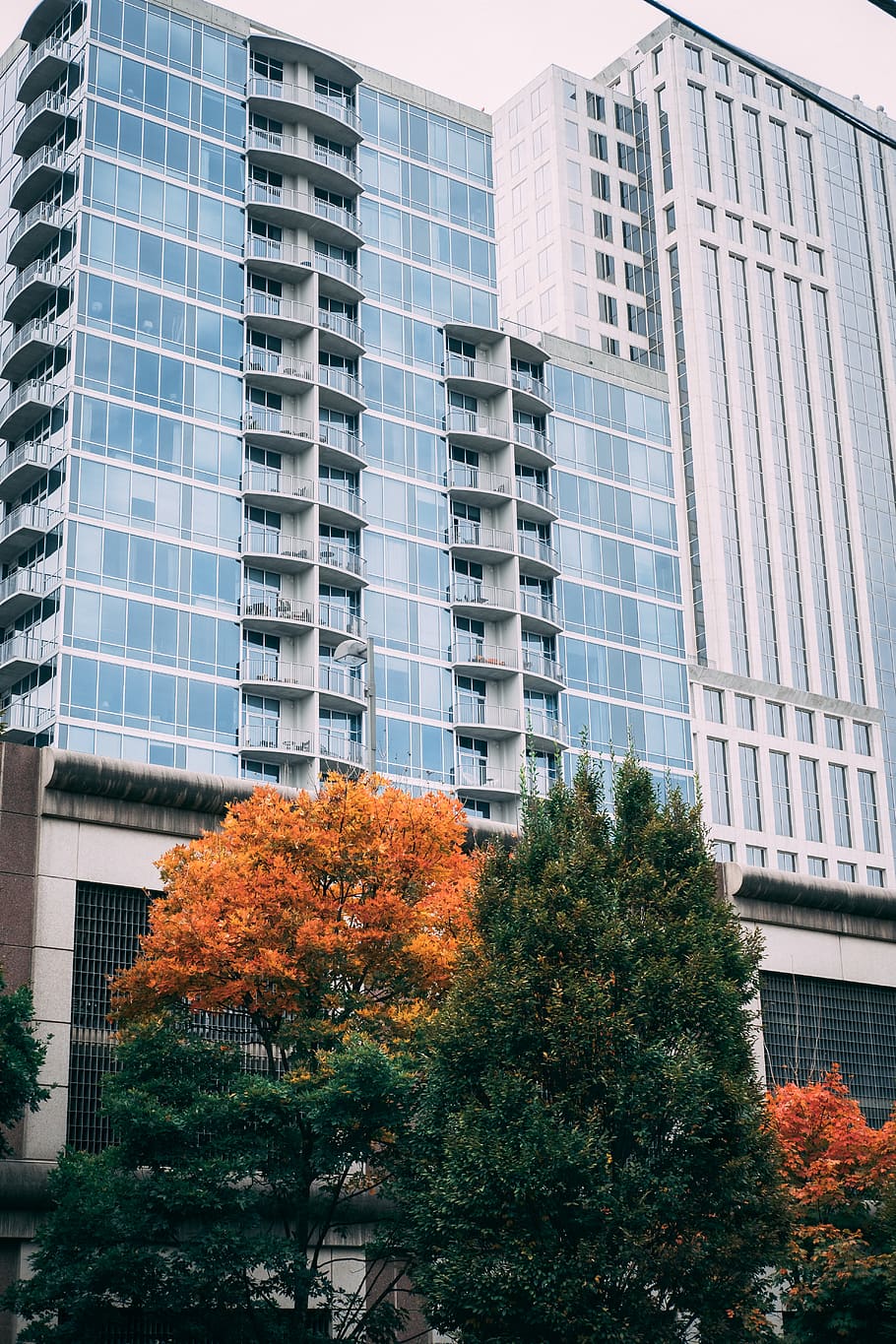 high-rise building, city, high rise, town, urban, apartment building HD wallpaper
