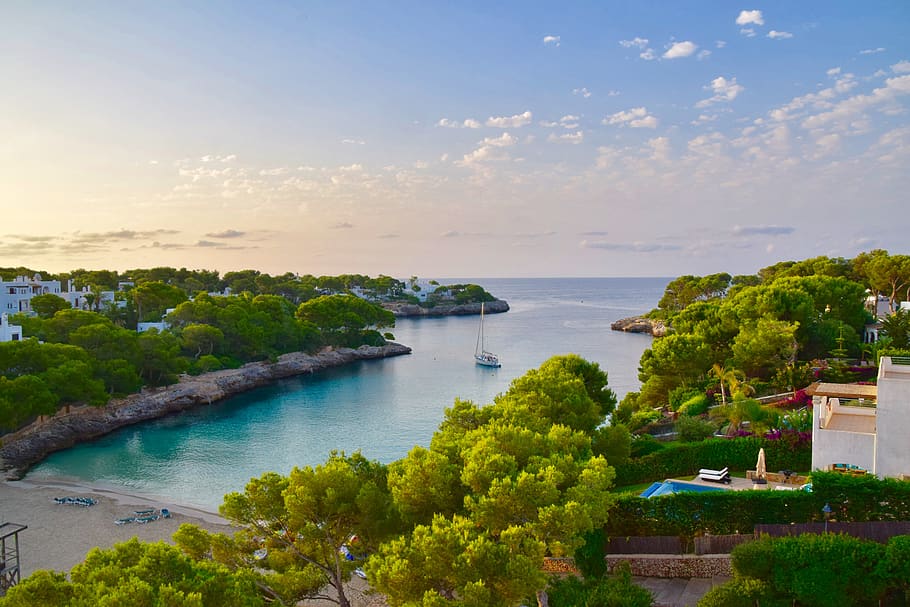 spain, majorca, water, plant, sky, tree, scenics - nature, beauty in nature HD wallpaper