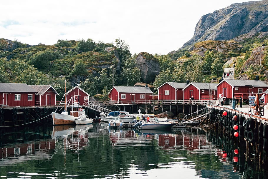 Rorbu fishing huts in Nusfjord, Lofoten, cabin, coast, coastline, HD wallpaper
