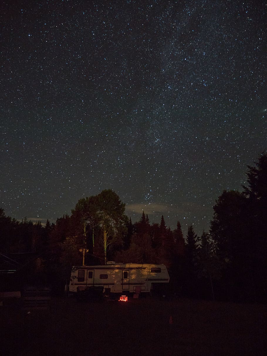 night, sky, stars, trees, plants, landscape, nature, outdoor HD wallpaper