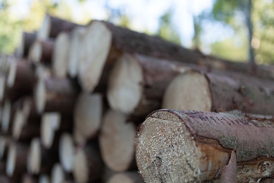 wood, strains, log, texture, structure, day, focus on foreground HD wallpaper