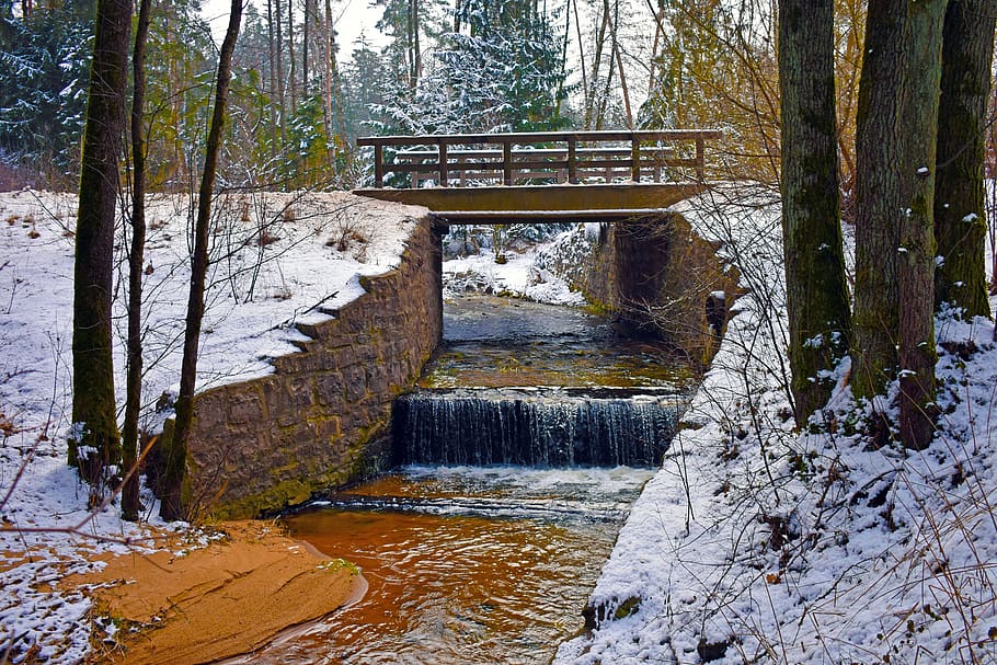 forest, bavaria, germany, bridge, creek, nature, water, tree HD wallpaper