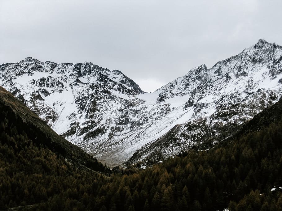 snow covered mountain at daytime, tree, forest, woodland, nature HD wallpaper