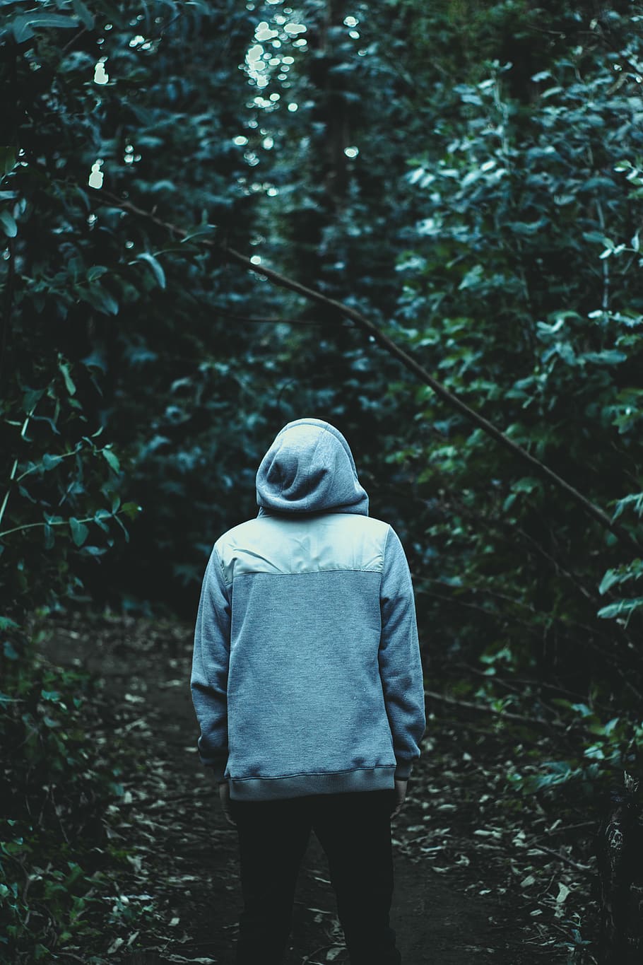 trees, nature, forest, person, white, green, contrast, hill HD wallpaper