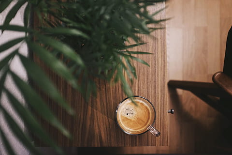 half-filled coffee in clear glass mug beside plant on brown table HD wallpaper