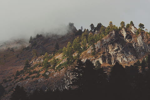 mountain, landscape, peak, summit, trees, pines, view, aesthetic HD wallpaper