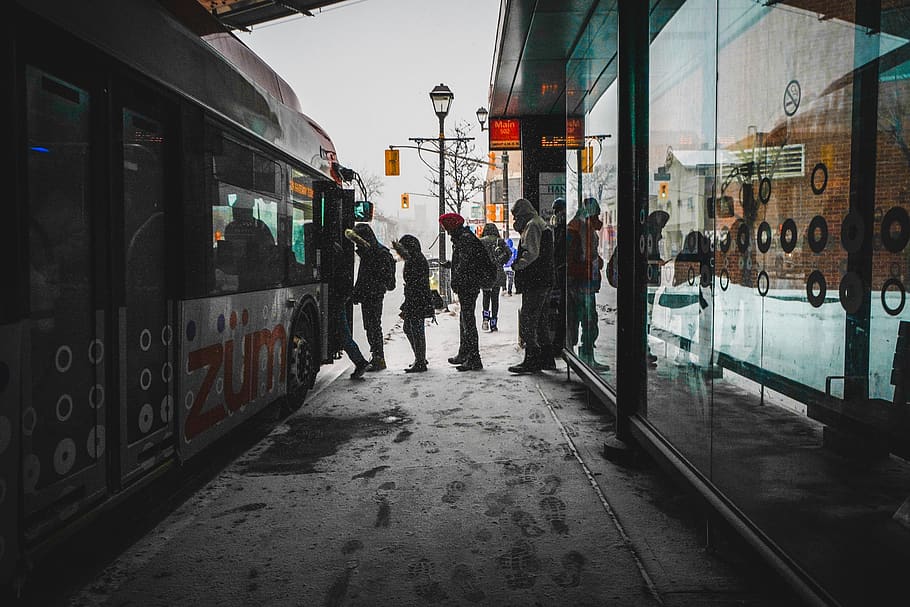 people walking towards bus, transportation, public transportation HD wallpaper