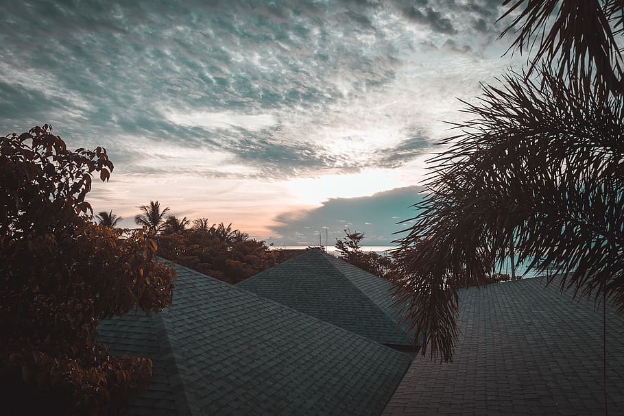 thailand, chaweng beach, tree, sky, cloud - sky, plant, nature HD wallpaper