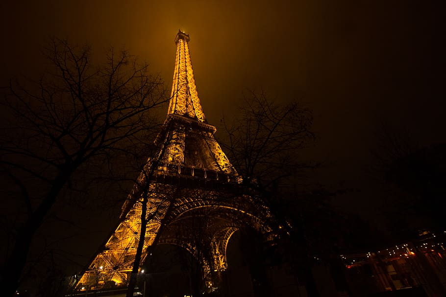 Eiffel Tower, Paris, steeple, spire, architecture, building, plant HD wallpaper
