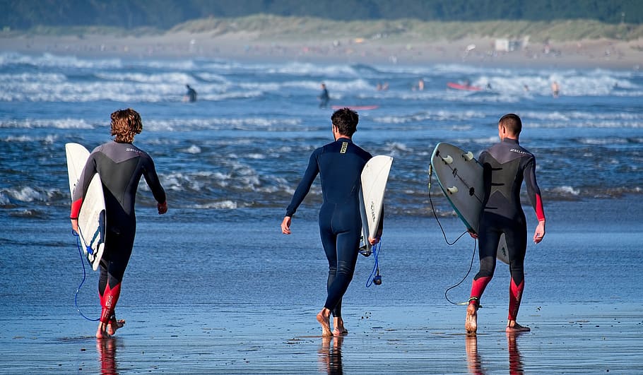 three, team, summer, surfers, surfing, beach, sea, sport, outdoor HD wallpaper