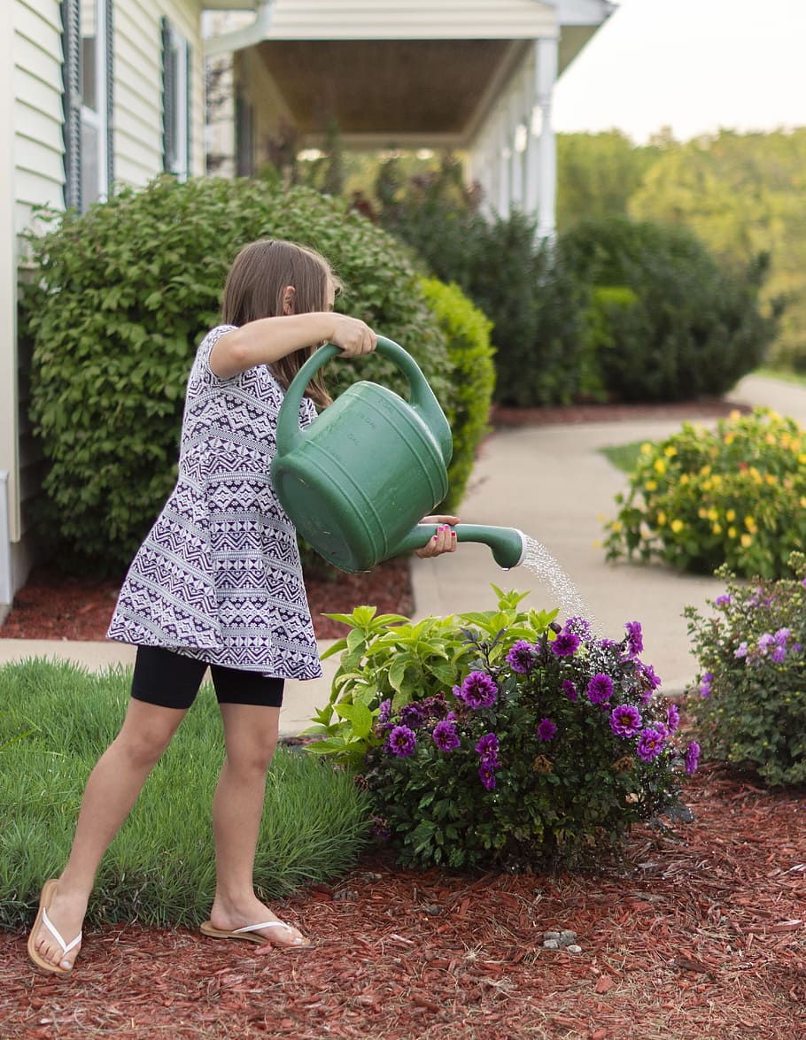 Photo of Girl Watering Flowers, active, active child, backyard HD wallpaper