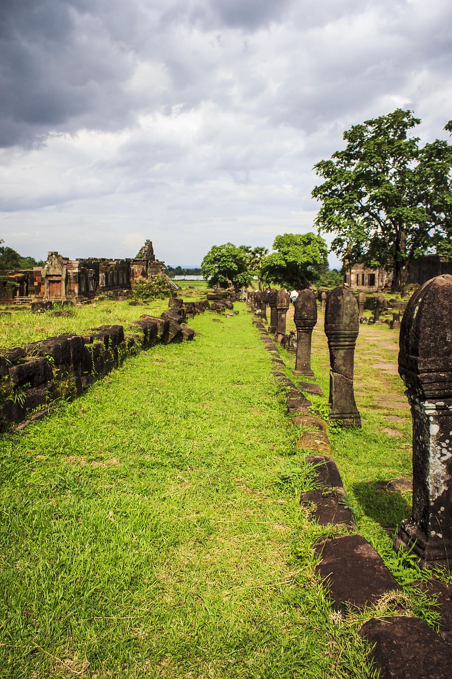 Pathway Covered With Green Grass, agriculture, ancient, architecture, HD wallpaper