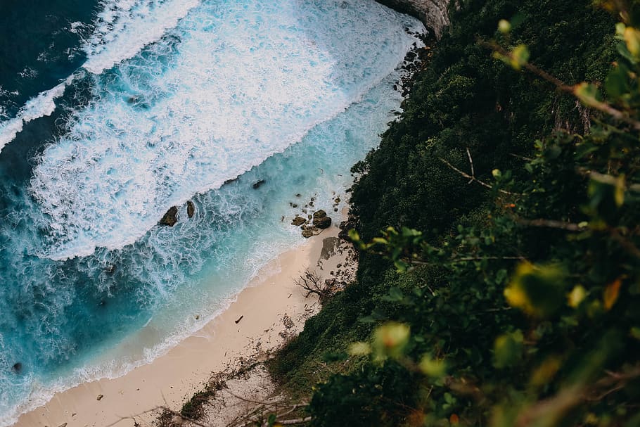 ocean, beach, nature, blue, water, tree, island, sand, stone HD wallpaper