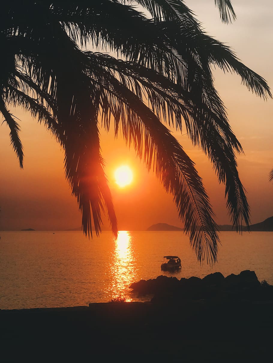 vsco, adriatic, palm, summer, sea, sunset, water, sky, beauty in nature HD wallpaper