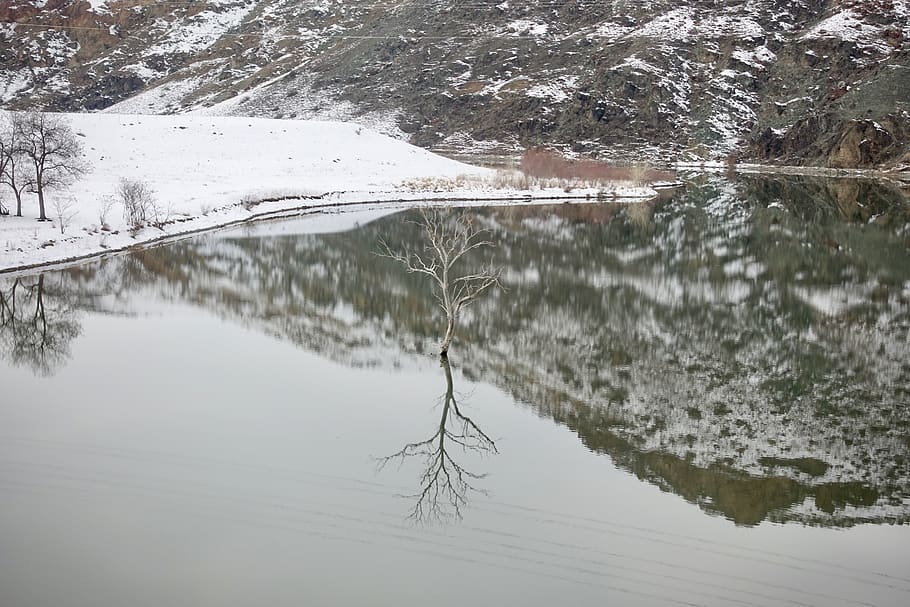 lake, tree, snow, valley, winter, cold temperature, water, day HD wallpaper