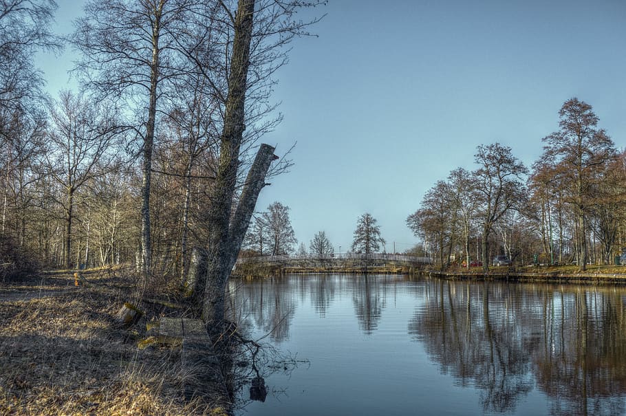 sweden, forest, tree, trees, river, water, lake, sky, blue HD wallpaper