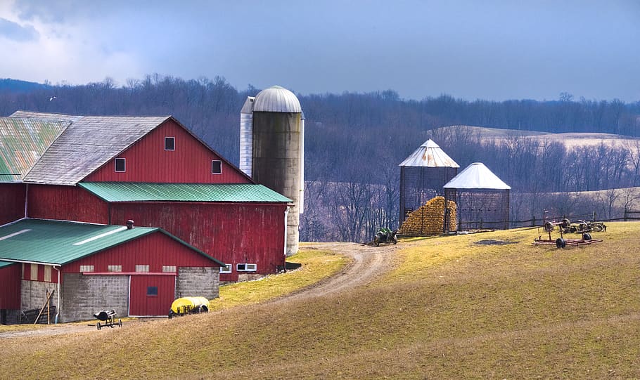 red barn during daytime, nature, outdoors, building, farm, countryside HD wallpaper
