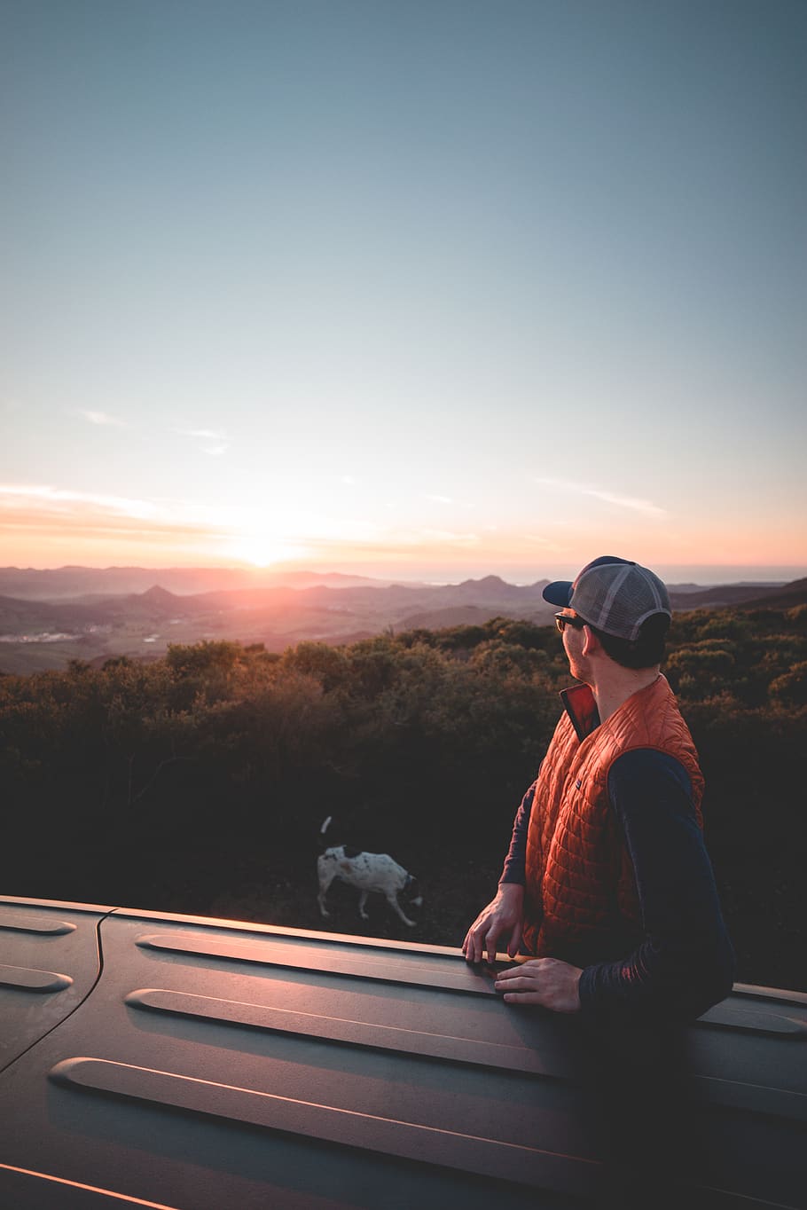 man looking on cow, sky, real people, sunset, one person, lifestyles HD wallpaper