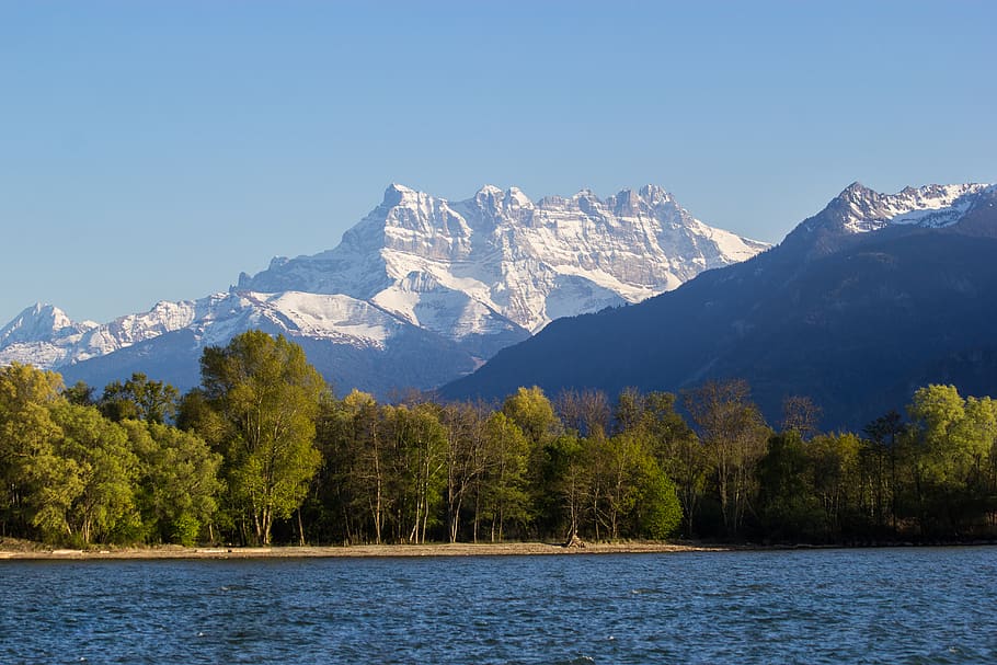 tree, trees, lake, sea, water, mountain, snow, sky, blue, white HD wallpaper