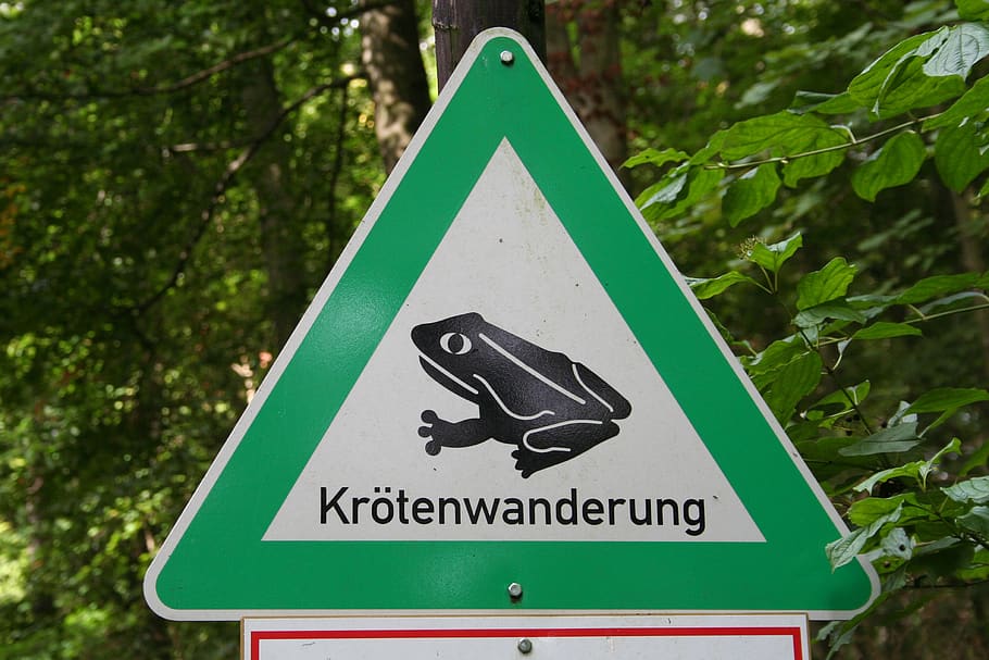nature conservation, toad migration, attention, warnschild HD wallpaper