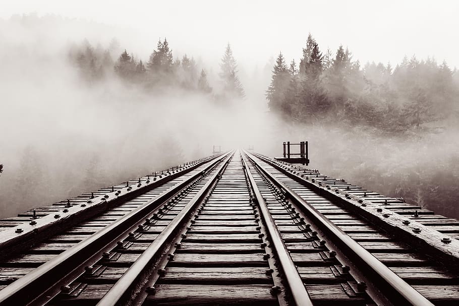 railroad, bridge, old, trestle, haze, forest, moody, black and white HD wallpaper