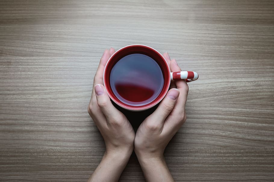 Woman holding hot cup of tea, human hand, human body part, one person HD wallpaper
