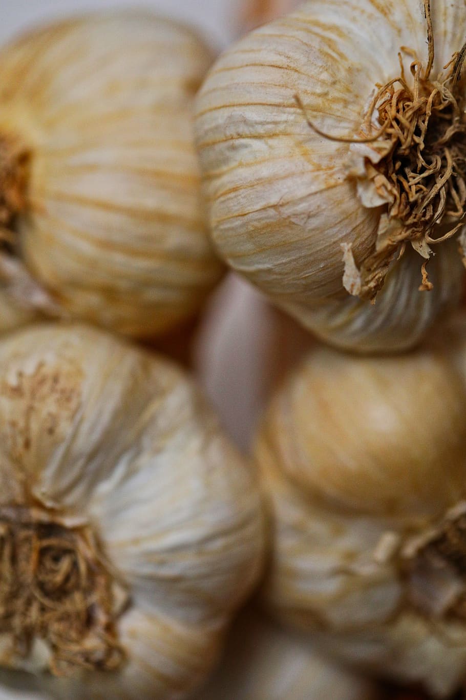 white garlic lot, food, food and drink, close-up, wellbeing, freshness HD wallpaper