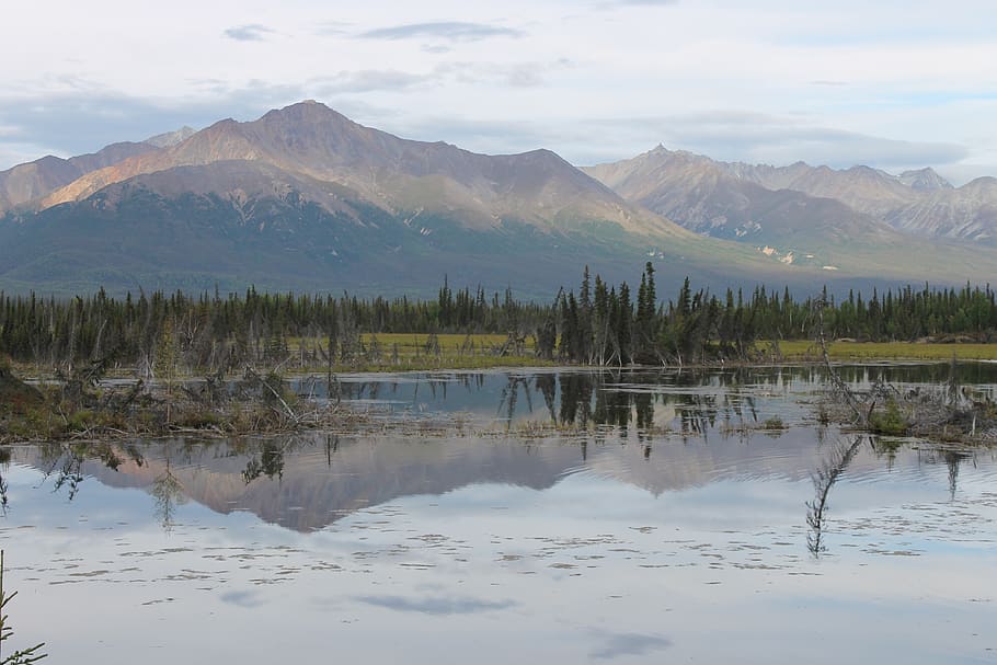 alaska, reflection, wilderness, mountain, scenery, scenics - nature HD wallpaper